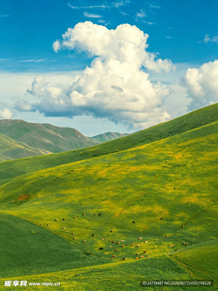 草原蓝天美景