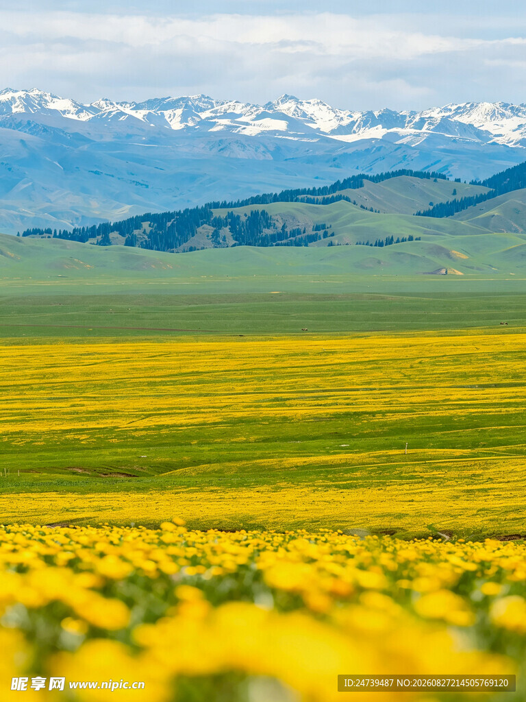 草原花海与远山美景