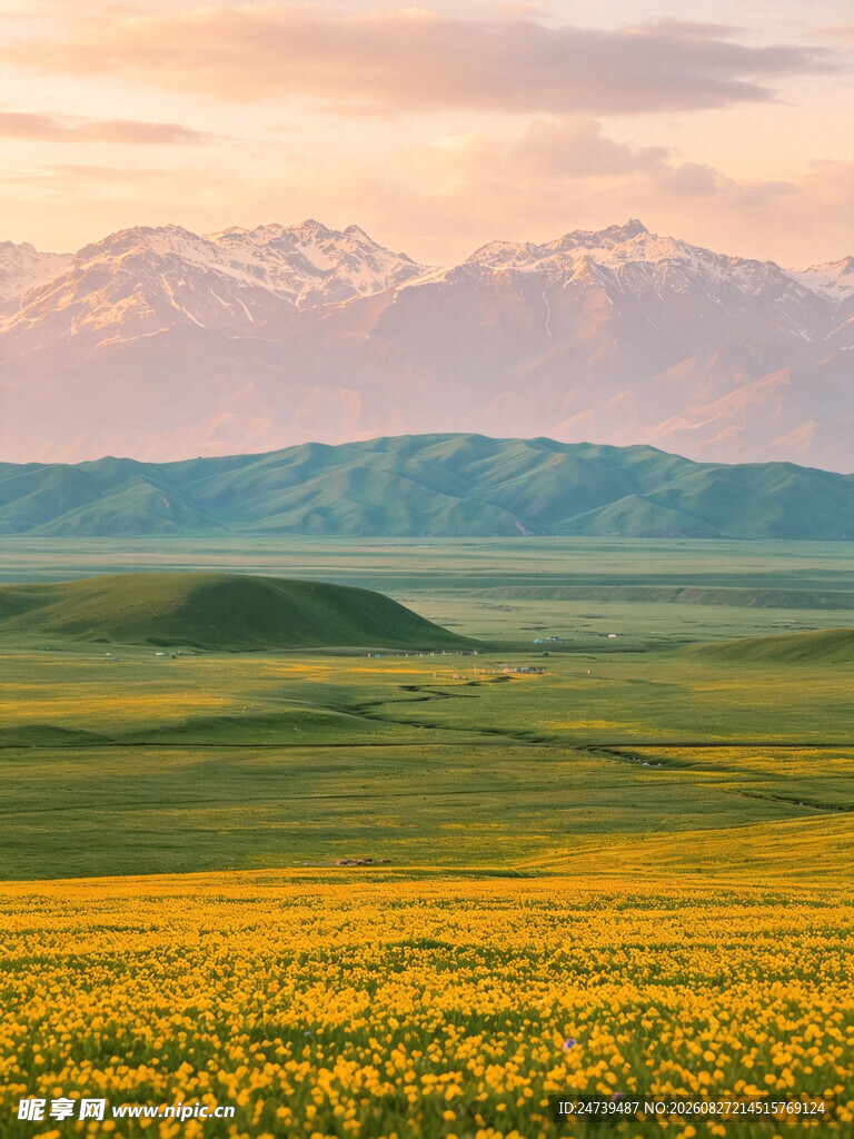 草原花海与远山美景