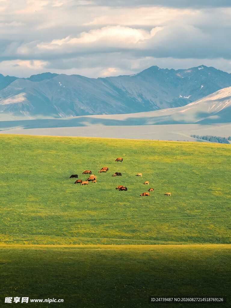 草原牧场景色