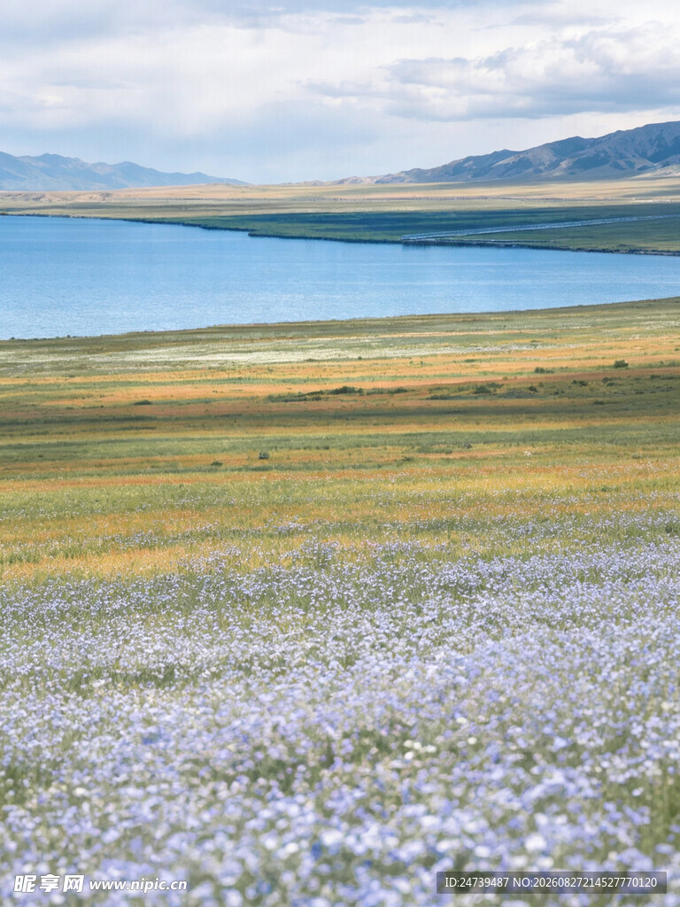 湖畔花海美景