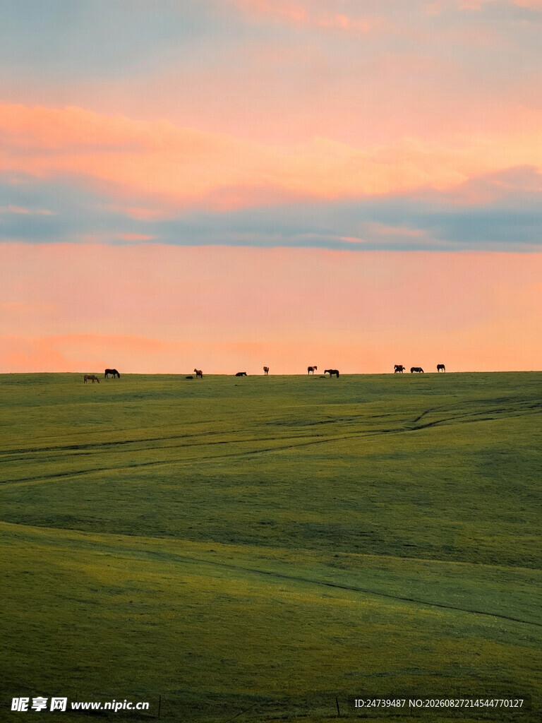 草原黄昏美景