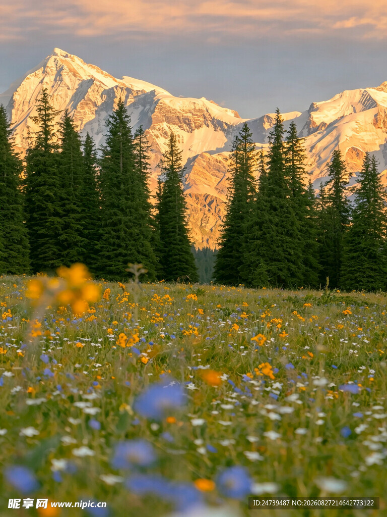 山间花海与壮丽雪山美景
