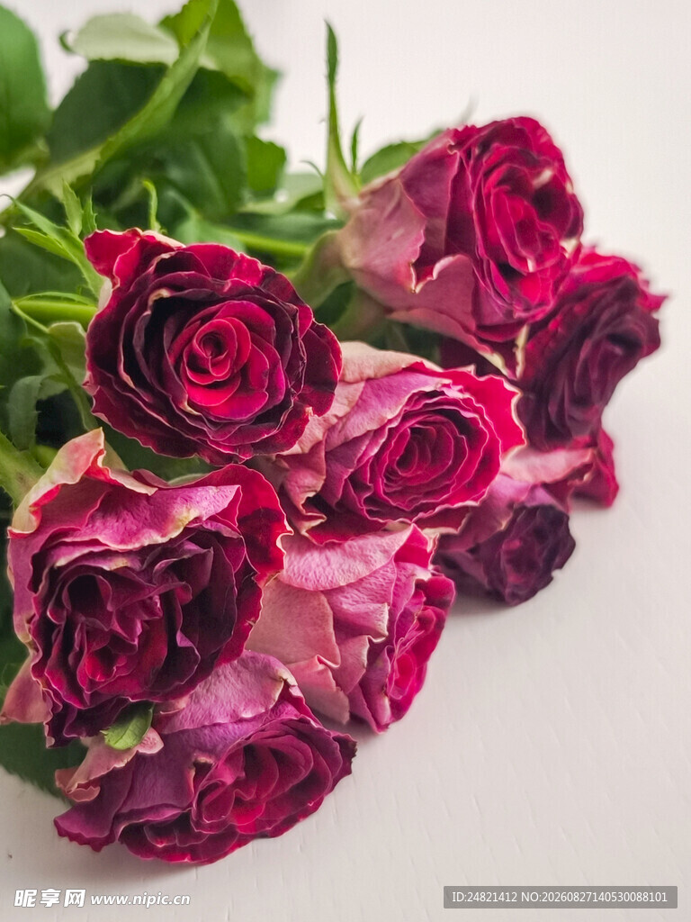 枯萎的深红色玫瑰花束