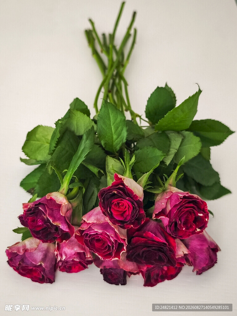 深玫色玫瑰花束
