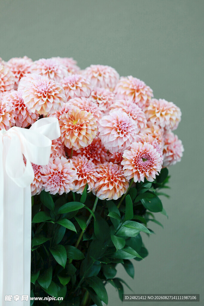 粉色菊花束