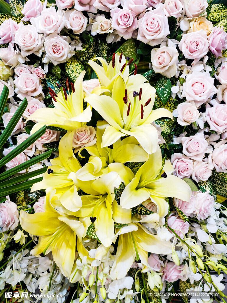 黄百合与粉花的美丽组合