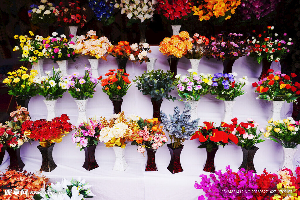 多彩花卉盆栽展示