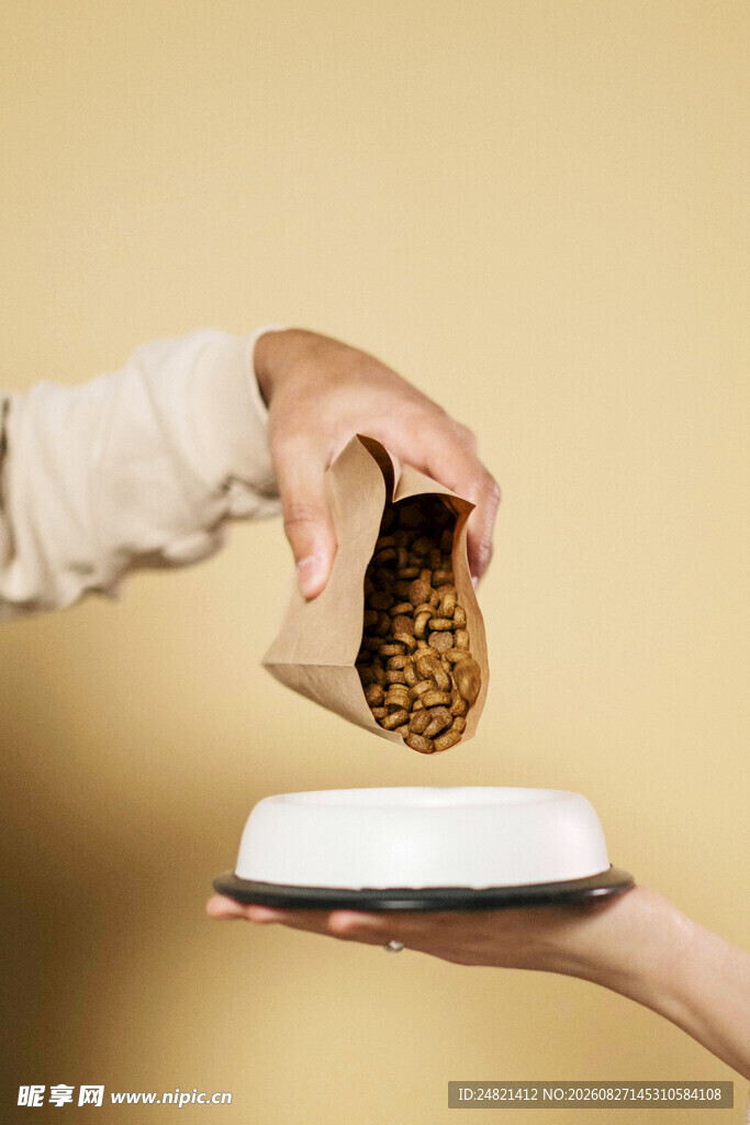 手递宠物粮至白色食盘