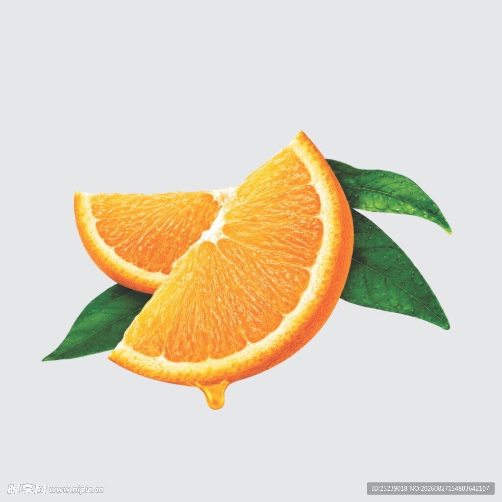 橙子切片素材