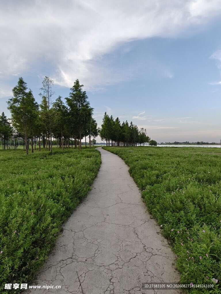 蓝天 白云 树木 草