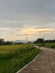 天空 夕阳 草地
