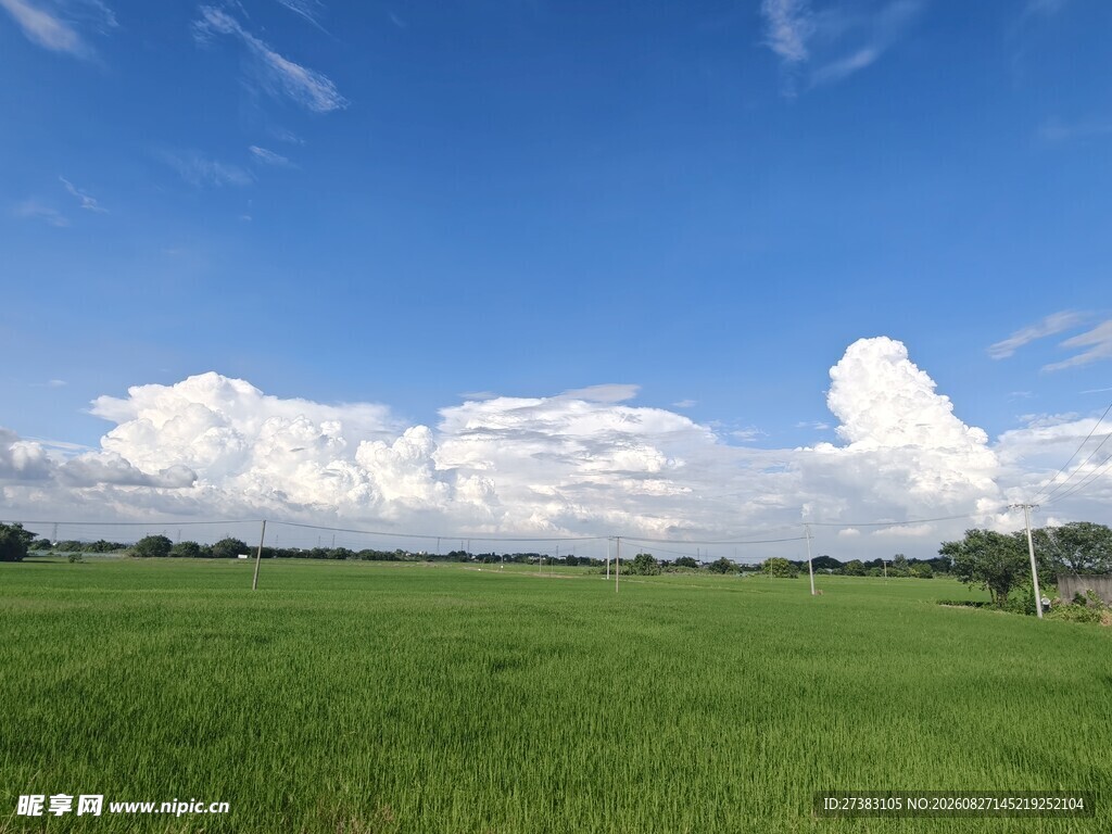 蓝天 白云 草地