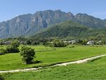 绿树 青山 蓝天 