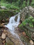 山泉 水 溪流 石头