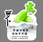 天然有机白萝卜