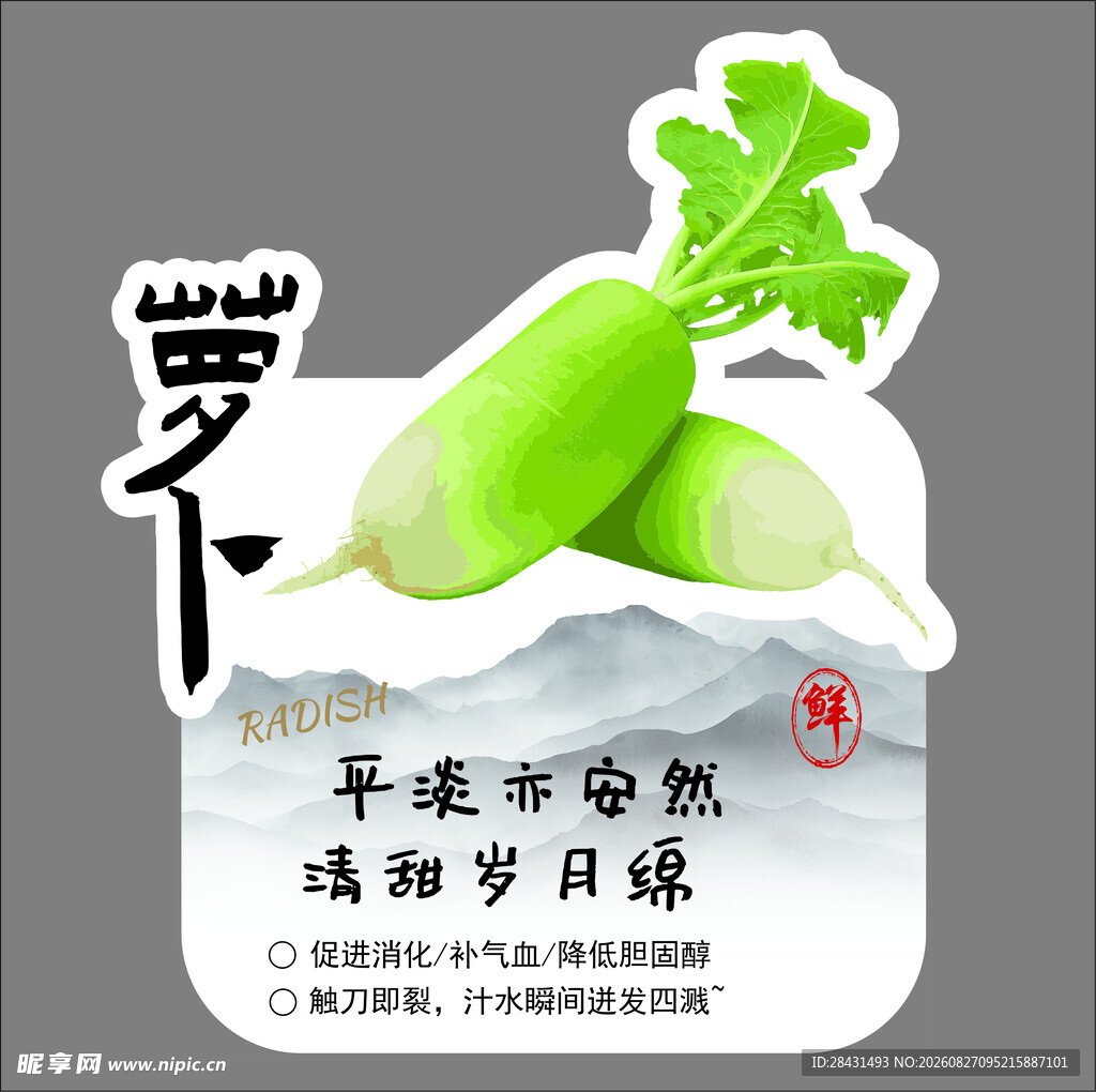 天然有机白萝卜