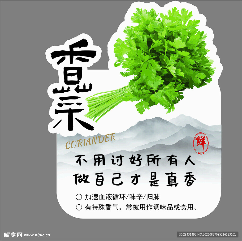 香菜