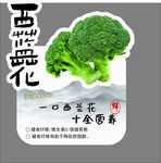 新鲜西兰花 