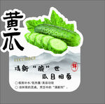 新鲜黄瓜 