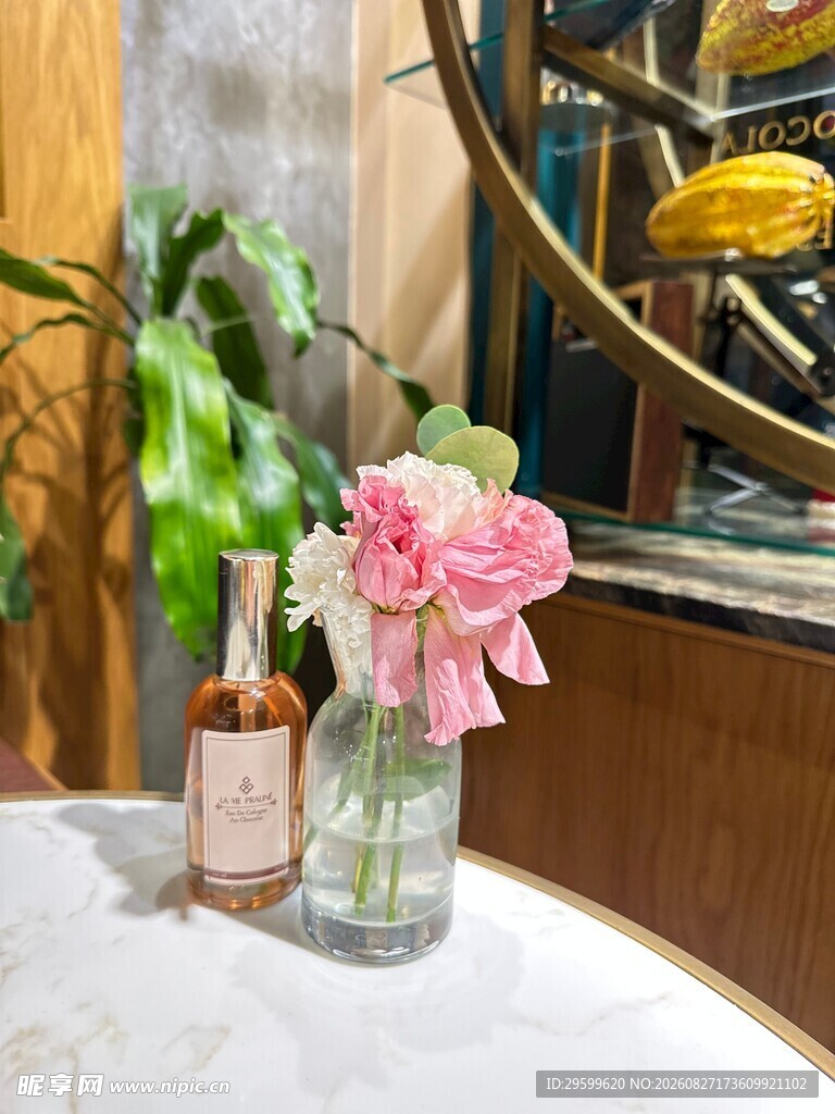 花瓶中的粉色花朵与绿植