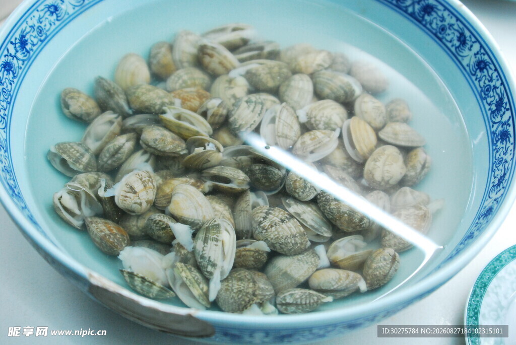 碗中鲜活蛤蜊