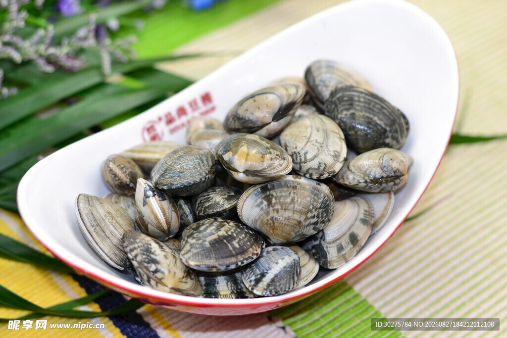白瓷碗中的新鲜蛤蜊