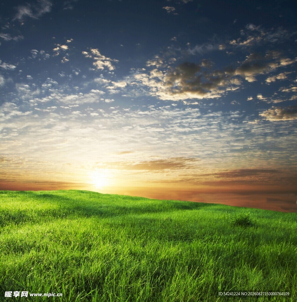 草原日出美景