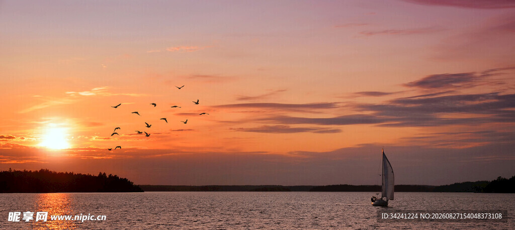 夕阳下飞鸟伴帆船美景