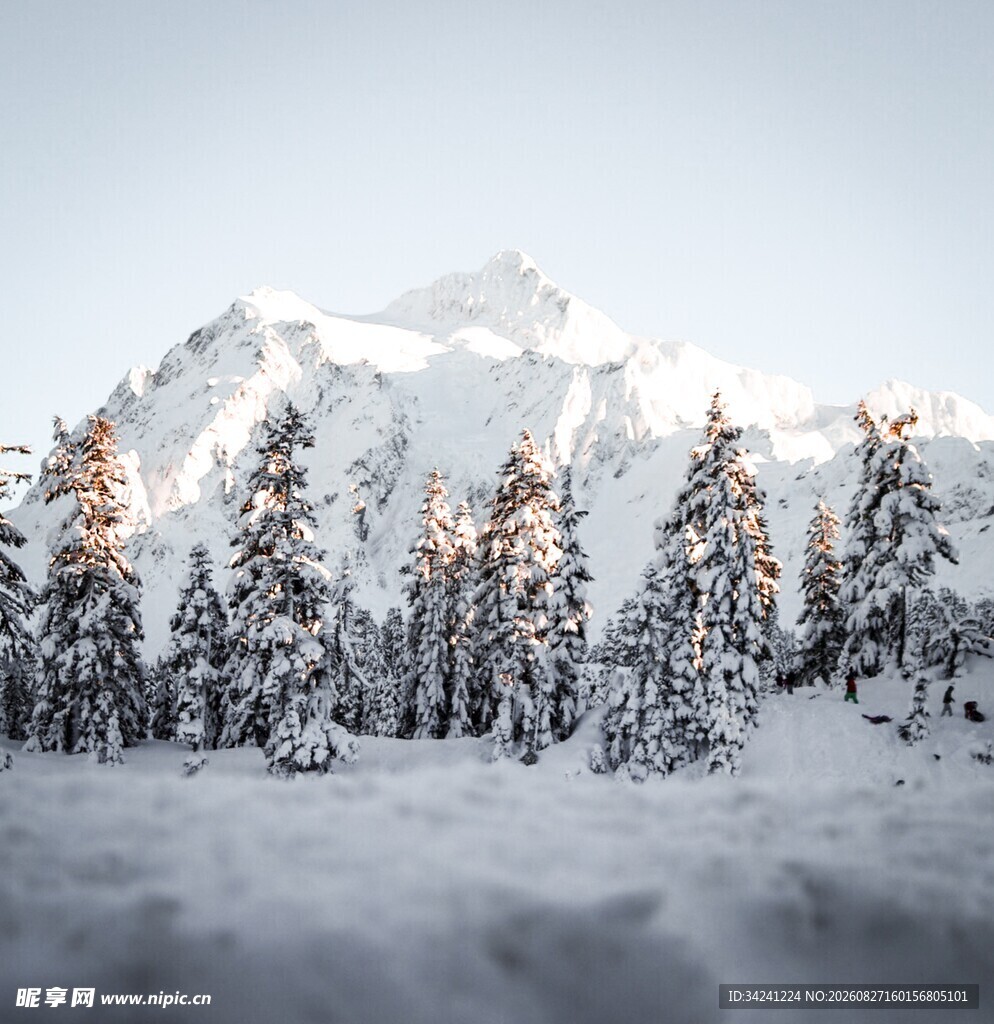 雪覆山林与巍峨雪山美景