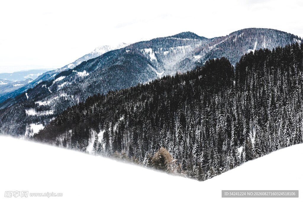 雪山森林壮丽自然景观