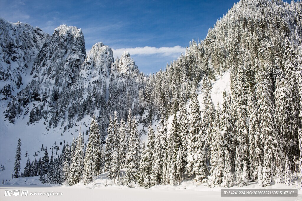 冬日雪山松林美景