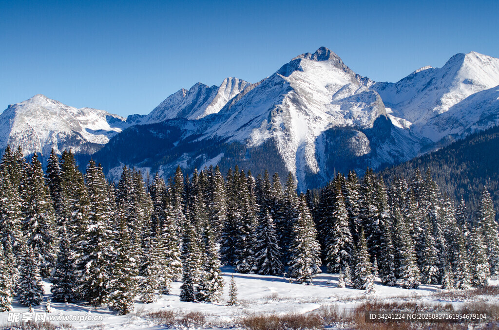 雪山森林冬日壮丽美景