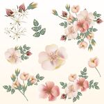 粉色花卉素材