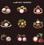 山竹素材