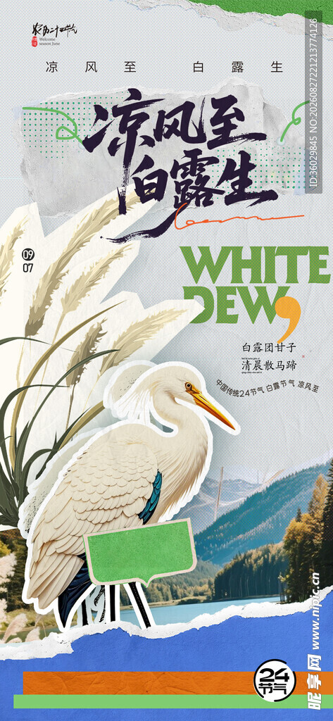 白露