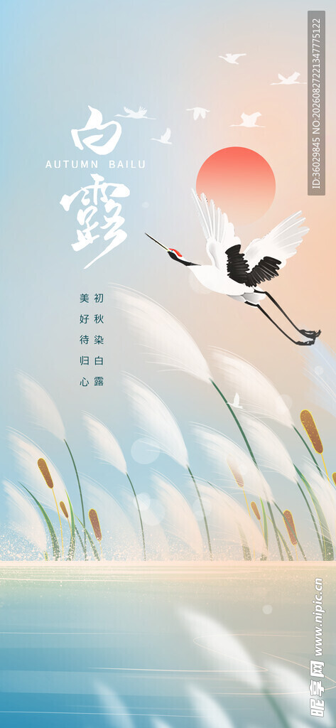 白露