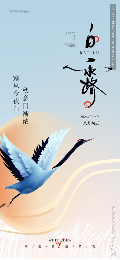白露