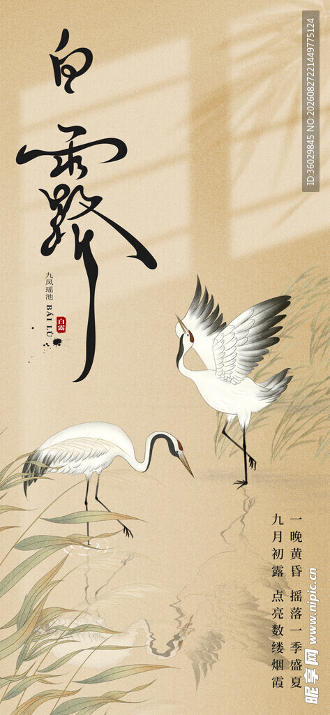 白露