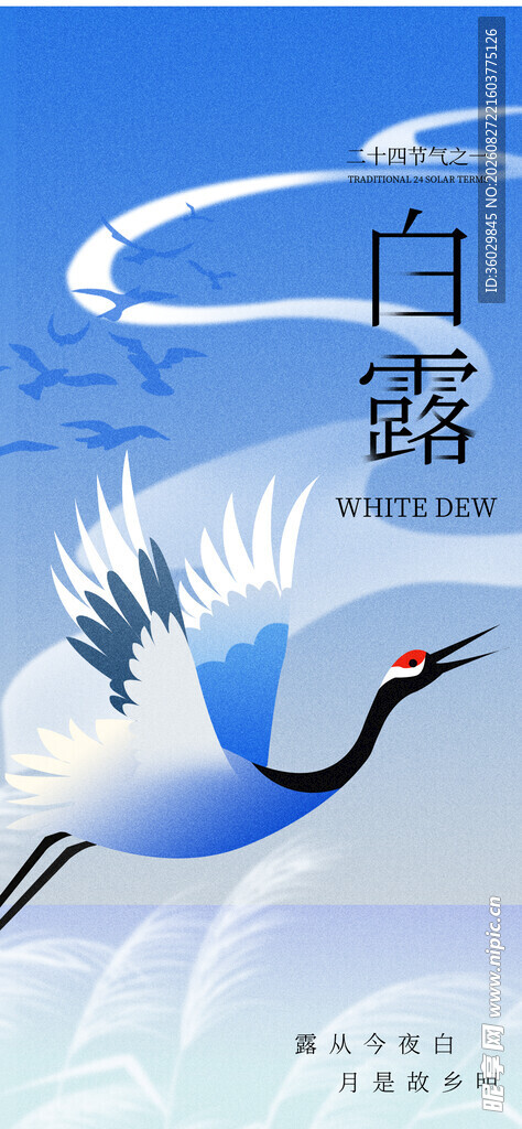 白露