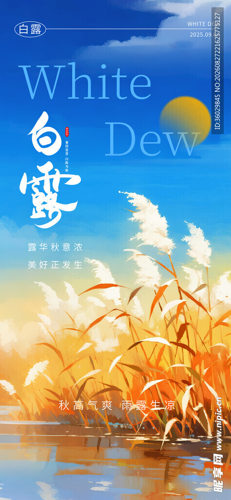白露