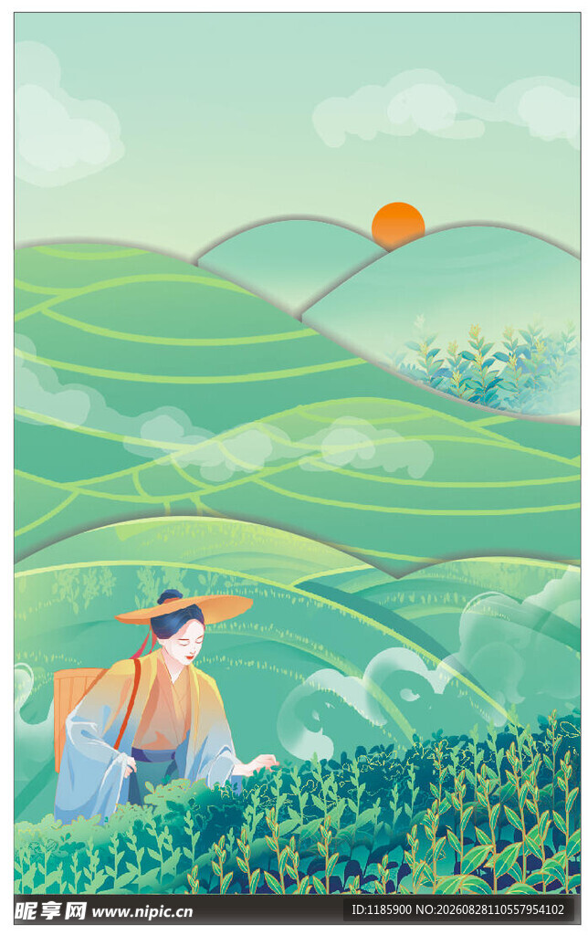 茶山摘茶叶