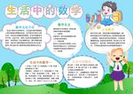 生活中的数学知识展示