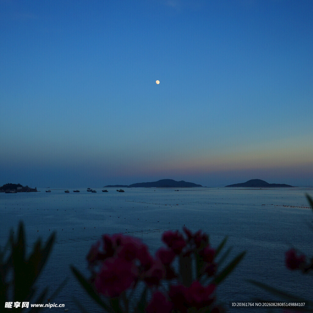 月夜湖畔繁花美景