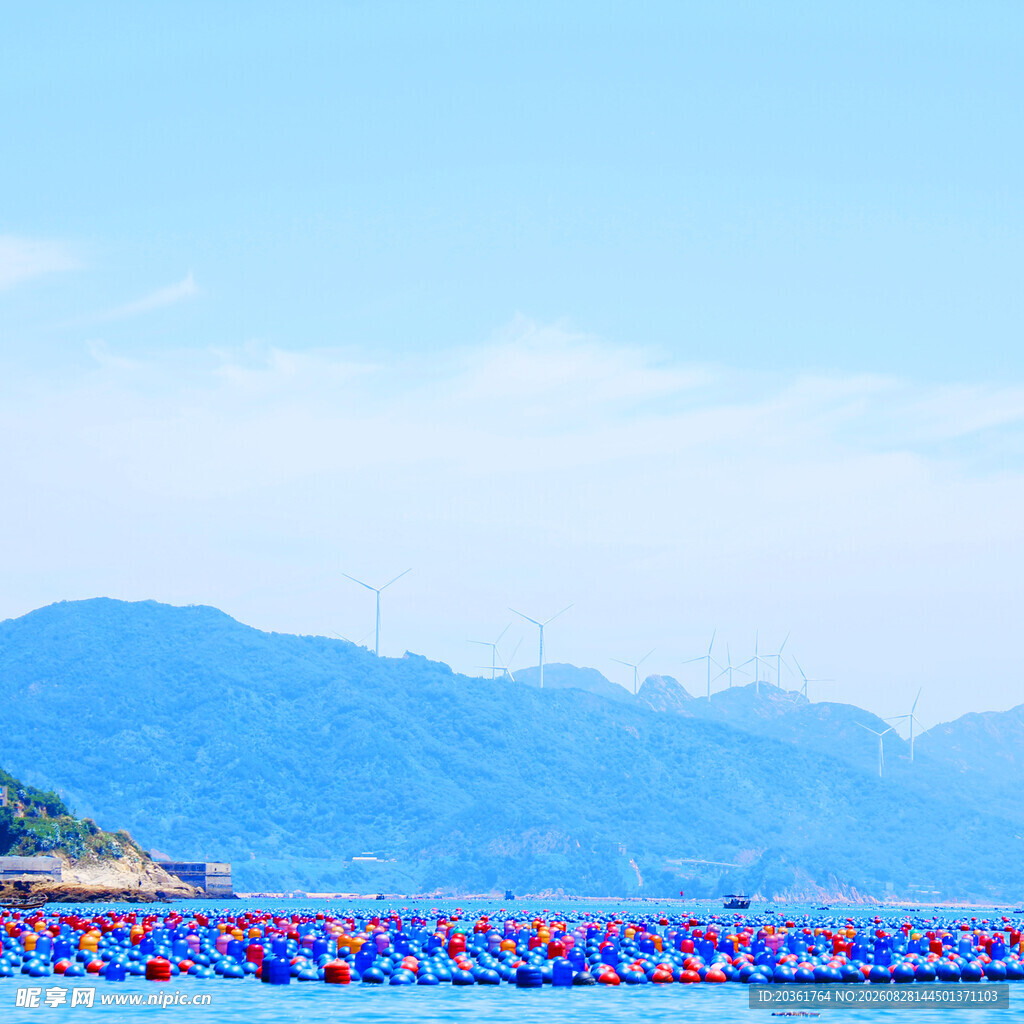 蓝色花海与远山美景