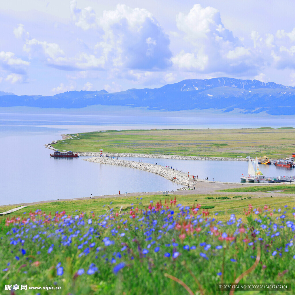 湖畔花海美景