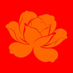 红色背景上的橙色花朵