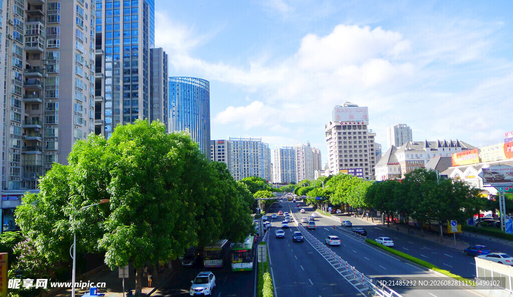 城市街道绿树高楼景观