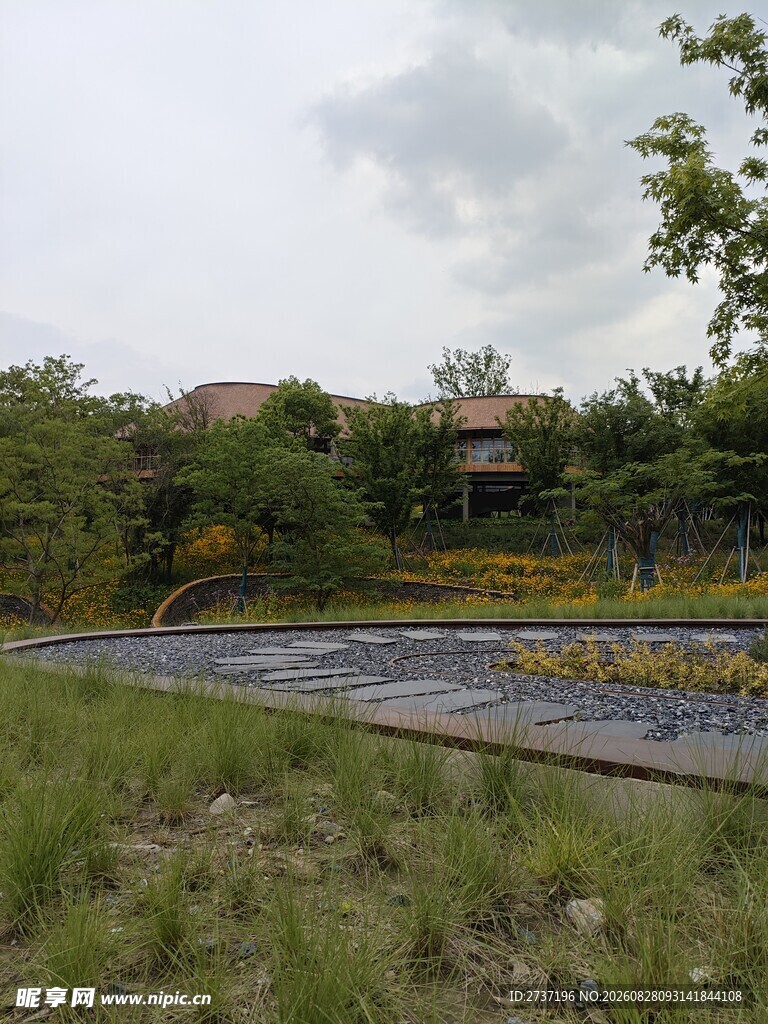 户外草地