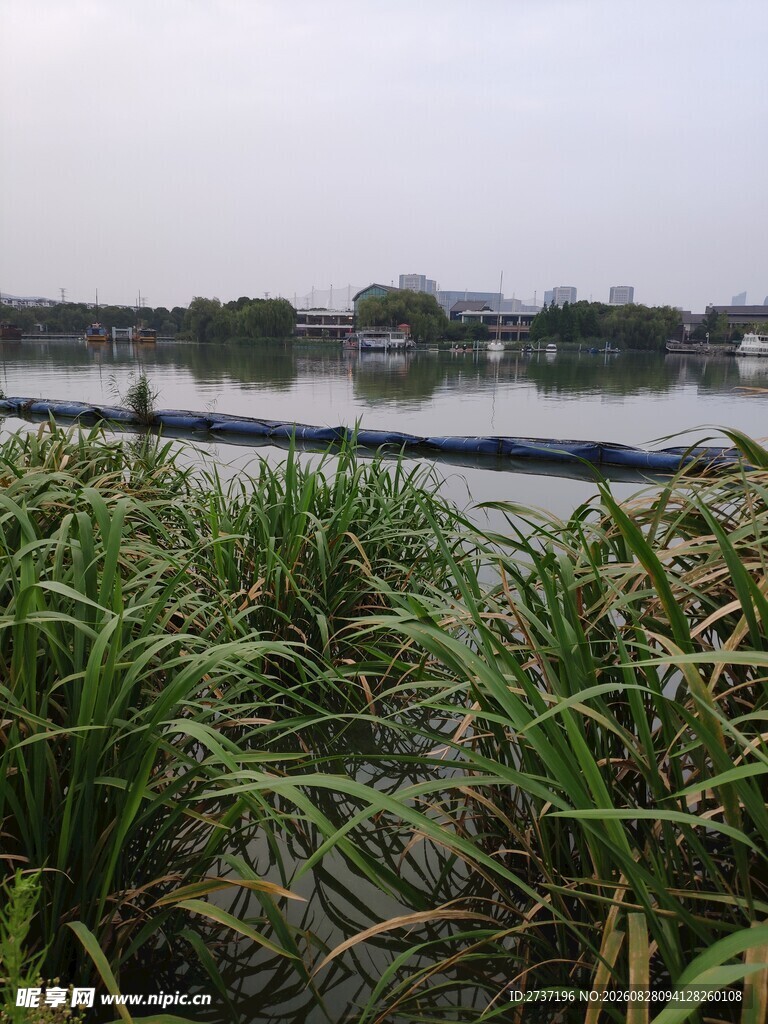 湖畔